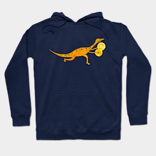 Cymbal-o-saurus Hoodie